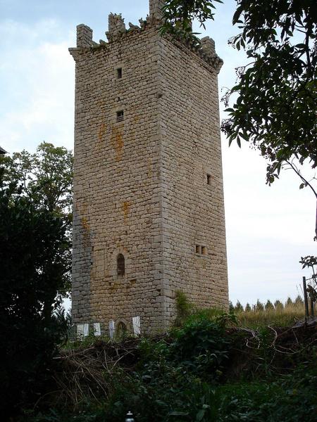 vue générale des façades sud et ouest du donjon