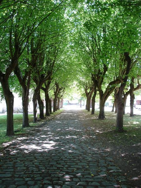 vue partielle de l'allée d'entrée ouest