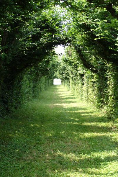 vue partielle du jardin