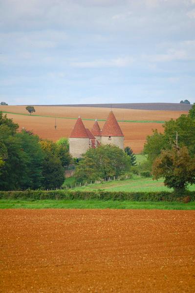 vue générale du château dans son environnement