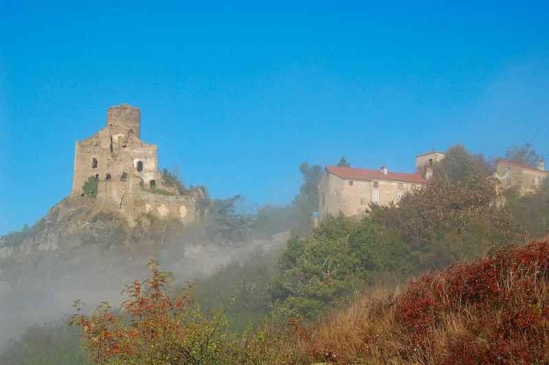 vue générale du château dans son environnement, ensemble Est