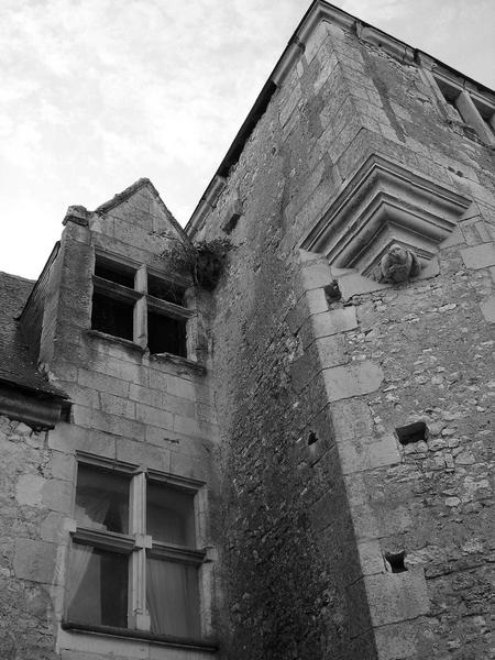 tour d'escalier, façade Nord-Est, vue partielle