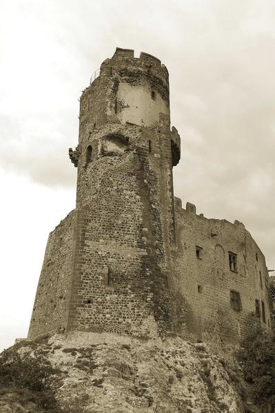 vue générale du donjon ensemble Sud-Ouest