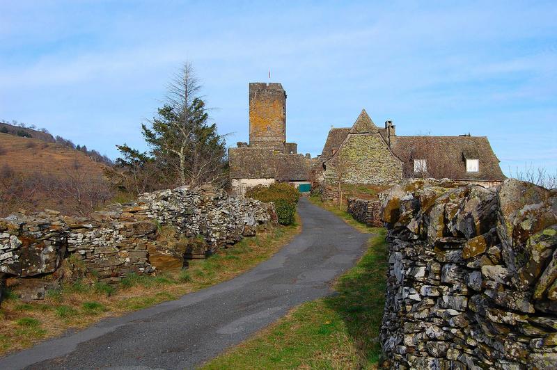 vue générale du donjon dans son environnement