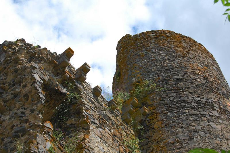 tour Sud-Est, vue partielle