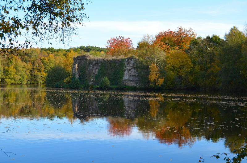 vue générale du château dans son environnement