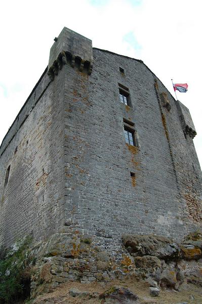 donjon, façade Ouest, vue générale