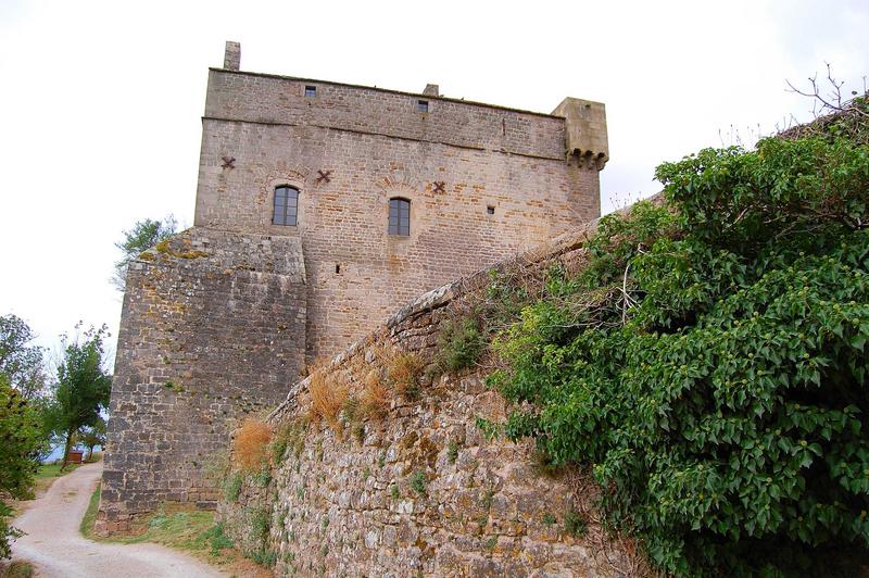 donjon, façade Nord, vue partielle