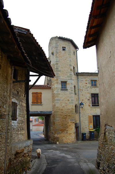 façade Sud, vue partielle