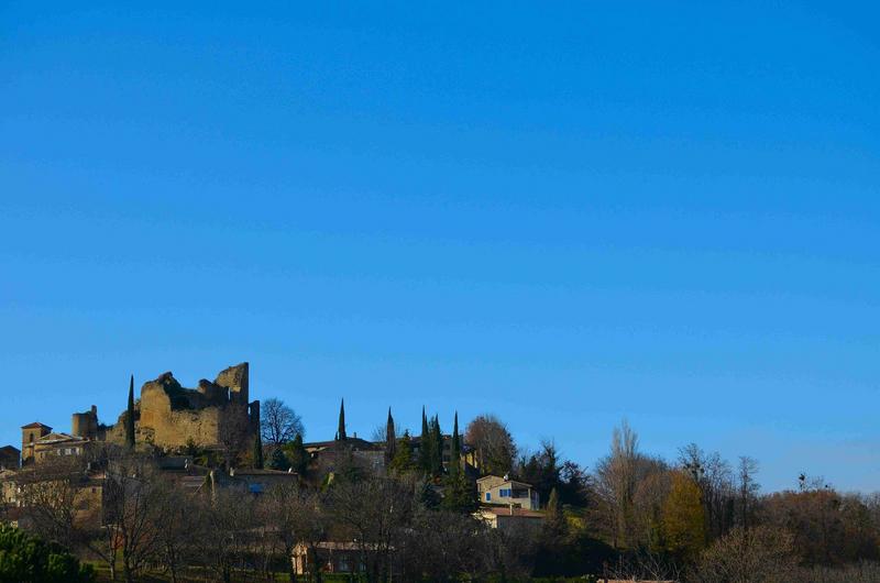 vue générale des ruines du château