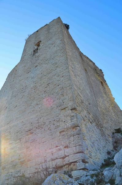 donjon, angle Nord-Est, vue générale