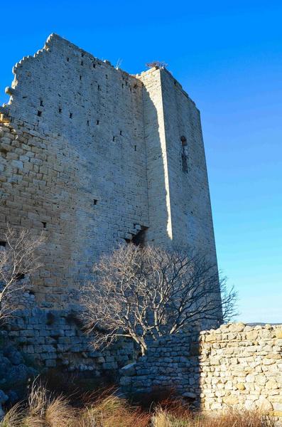 donjon, façade Est, vue générale