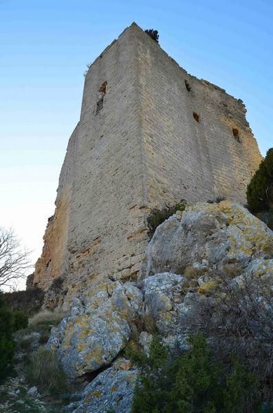 donjon, ensemble Nord-Est, vue générale