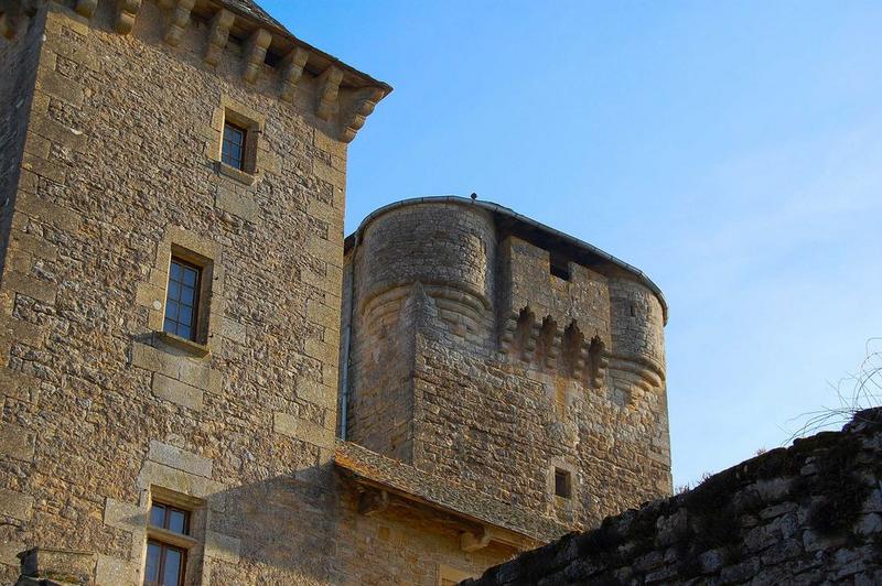 façade ouest du donjon, vue partielle