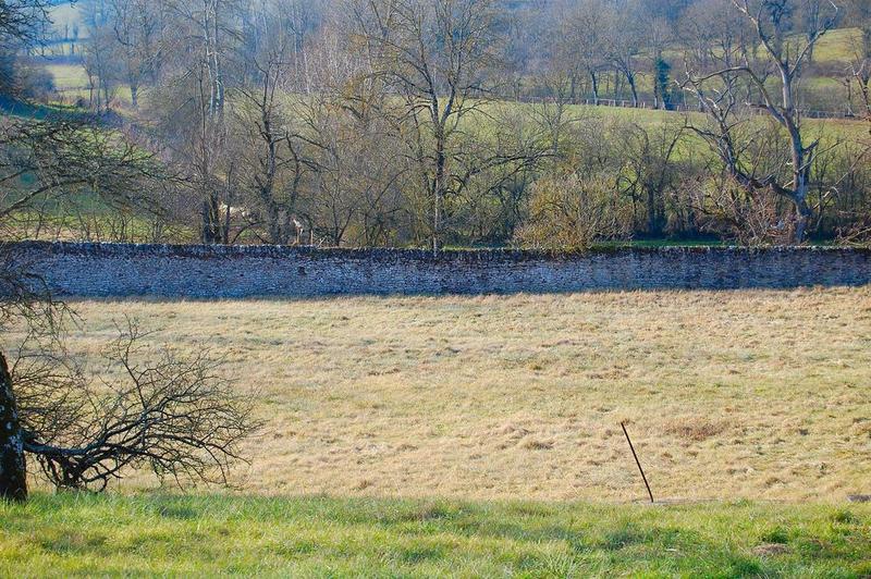 mur de clôture, jardin sud, vue générale