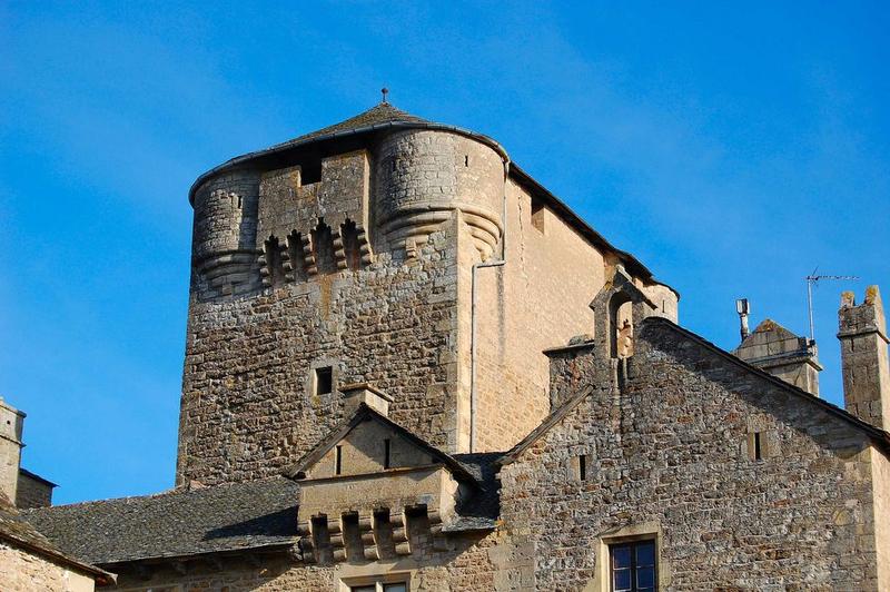 façade sud-ouest du donjon, vue partielle