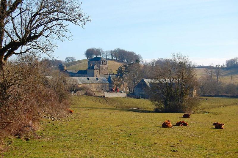 vue générale du château dans son environnement