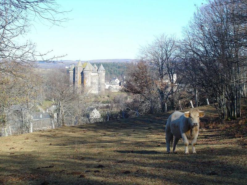 vue générale du château dans son environnement