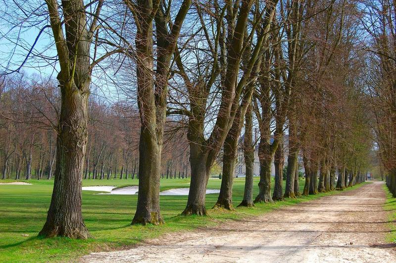 allée sud de tilleuls, jardin ouest, vue partielle