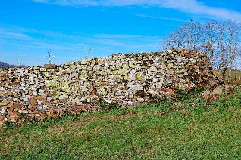 mur de clôture du jardin, vue partielle