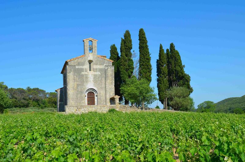 façade occidentale, vue générale