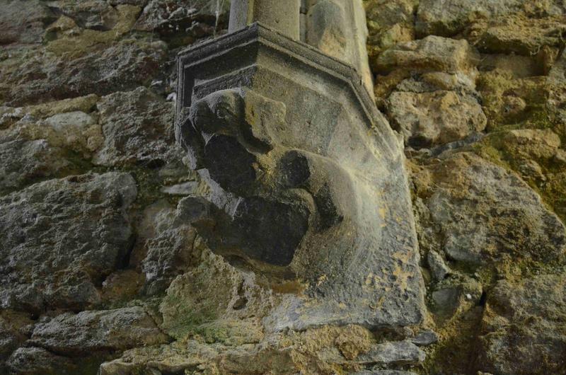 salle carrée, culot sculpté : chien