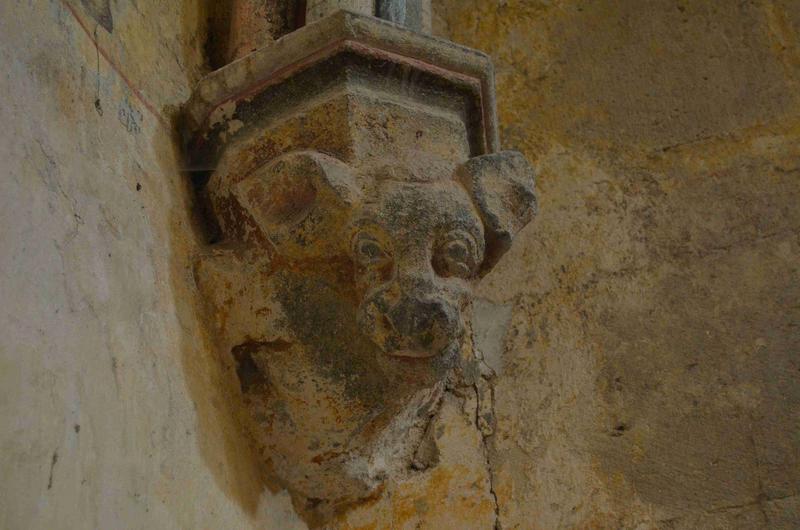 salle carrée, culot sculpté : animal fantastique