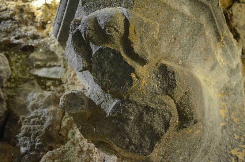 salle carrée, culot sculpté : chien