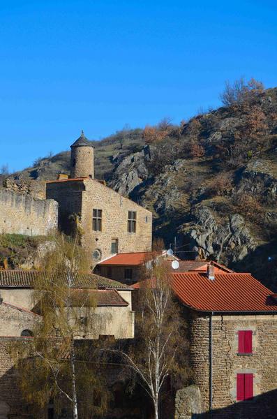 vue partielle du château dans son environnement