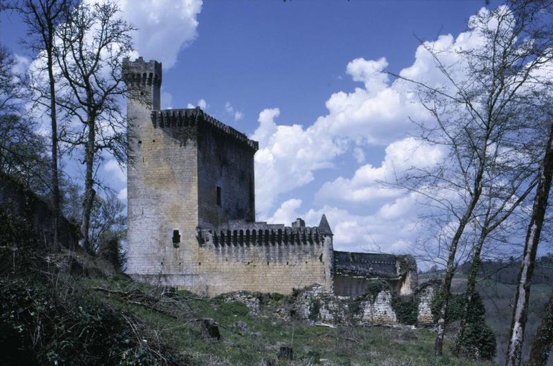 Château de Commarque