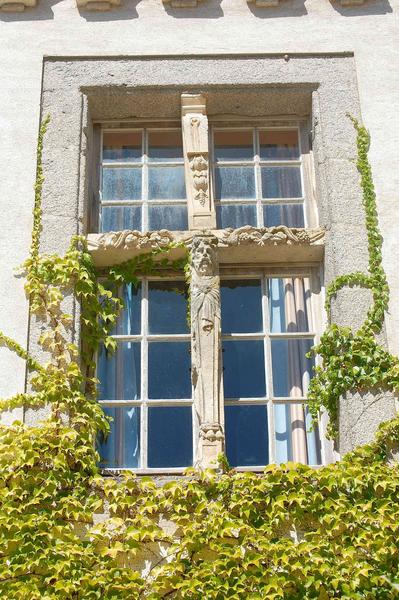 Façade sud, fenêtre à meneau, vue générale