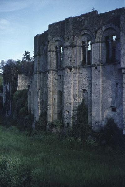 Vestiges d'une façade à fenêtres romanes géminées