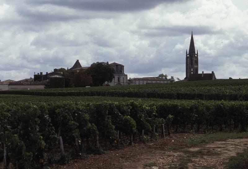 Clocher de l'église monolithe et façade ouest de l'église Saint-Emilion, des vignes au premier plan