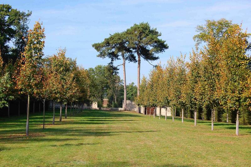 parc ouest, vue partielle de la grande allée