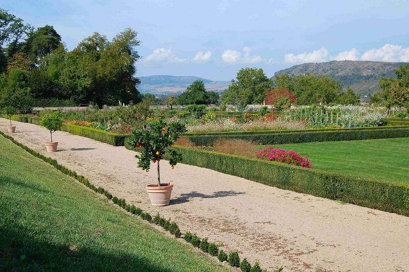 vue générale du jardin potager