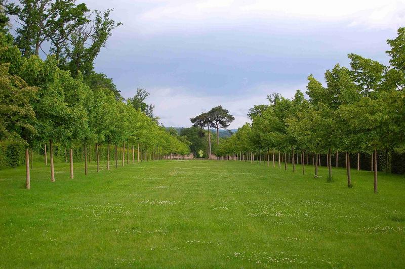 parc ouest, vue générale de la grande allée