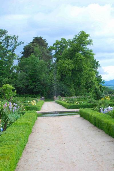 jardin potager, vue partielle