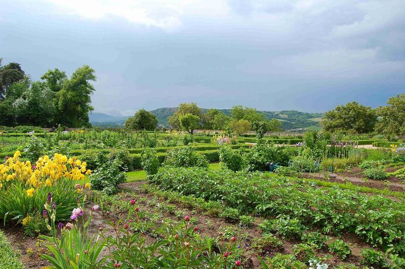 vue générale du jardin potager