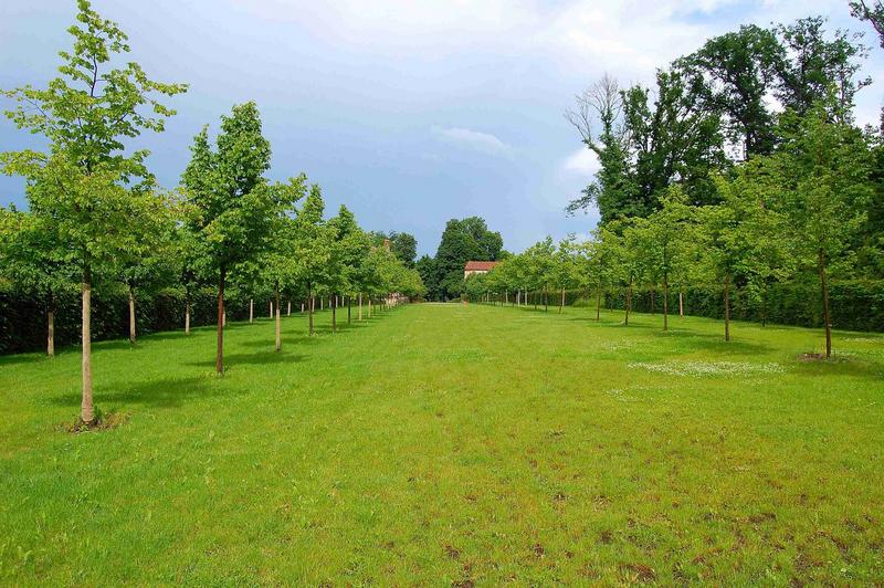 parc ouest, vue générale de la gande allée