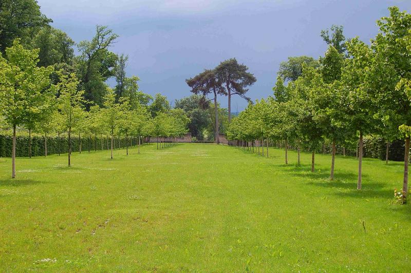 parc ouest, vue générale de la gande allée