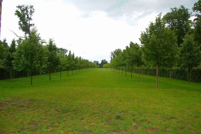 parc ouest, vue générale de la gande allée