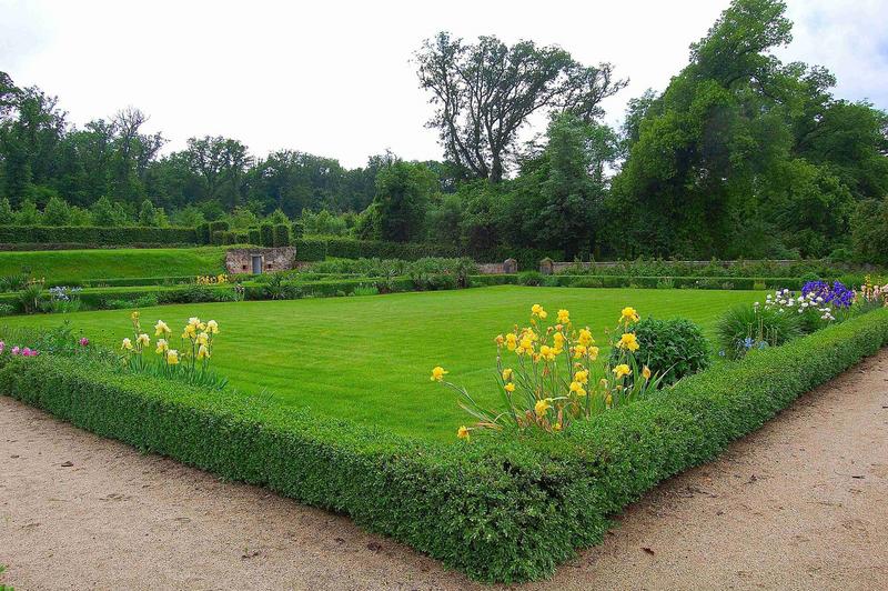 jardin potager, vue partielle