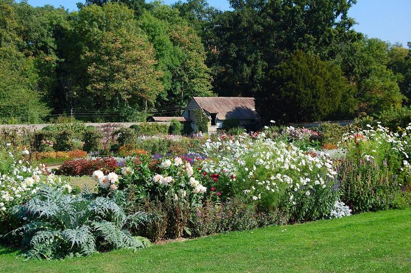 vue partielle du jardin potager