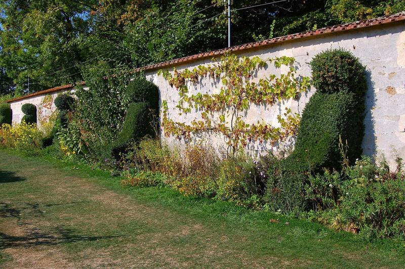 mur du clôture du jardin potager, vue générale