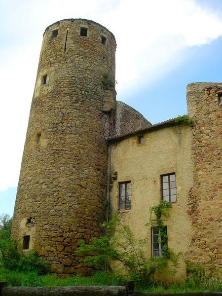 vue générale du donjon