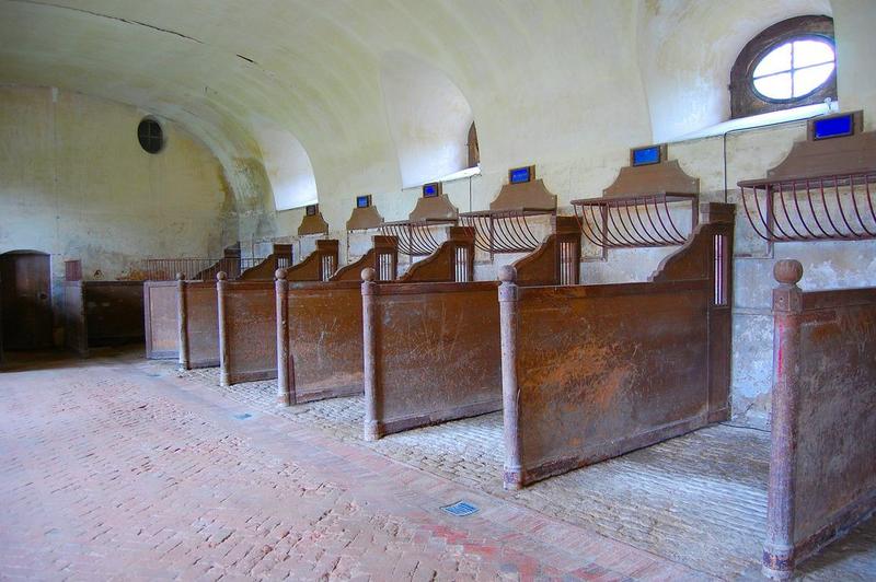 anciennes écuries, vue générale