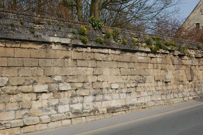 mur de clôture, vue partielle