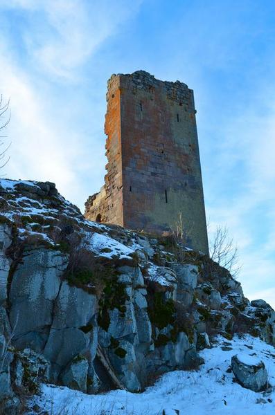 élévation est du donjon, vue générale