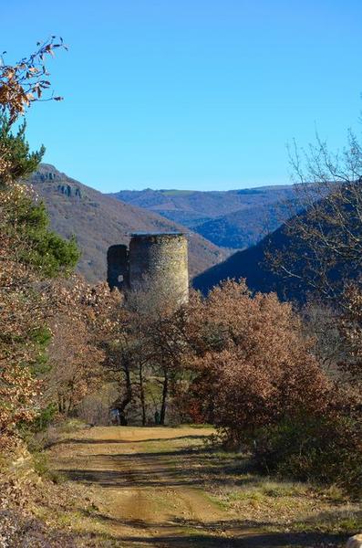 vue partielle du donjon dans son environnement