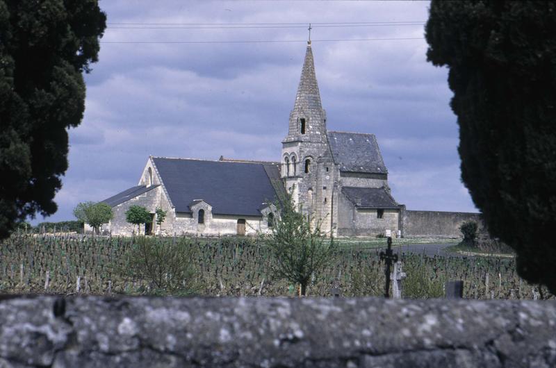 Ensemble sud et clocher, vignes au premier plan